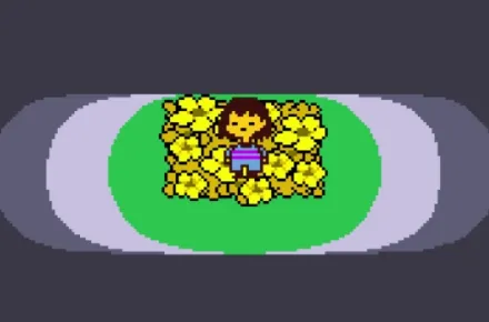 ˵֮()