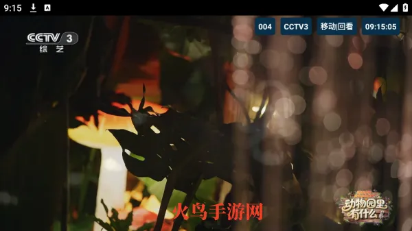 猫TV高配版安卓版手机版