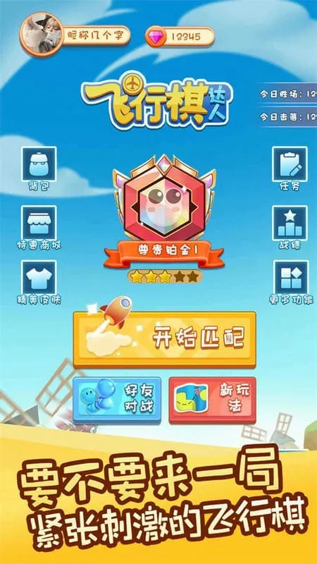 飞行棋达人(飞行棋对战) 飞行棋达人(飞行棋对战)