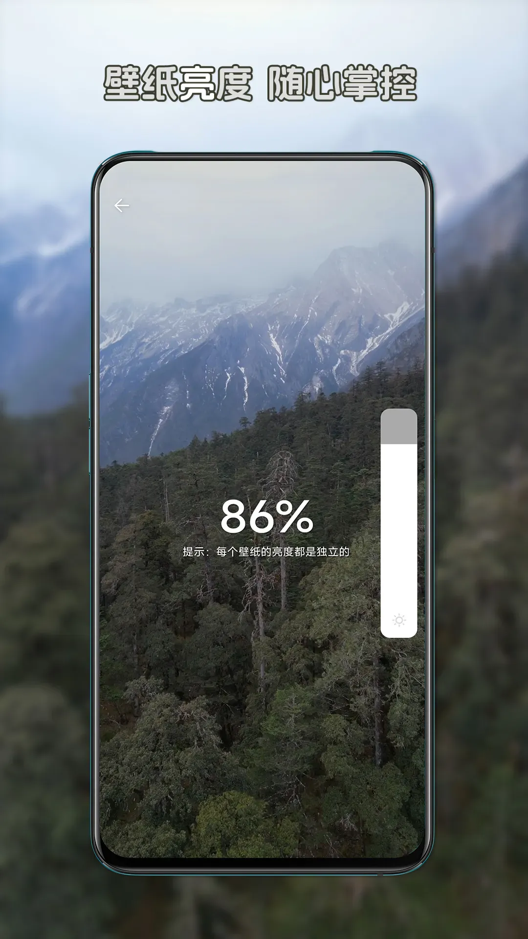 星咩视频壁纸(视频壁纸软件)截图