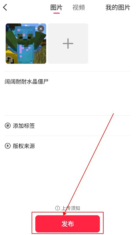 汽水壁纸2025官方最新版本