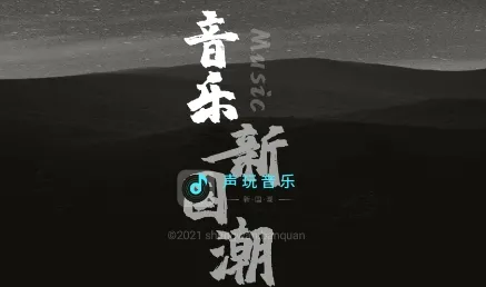 声玩音乐(音乐铃声软件)