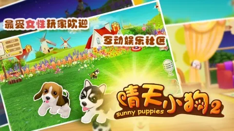 晴天小狗22025官方最新版本截图
