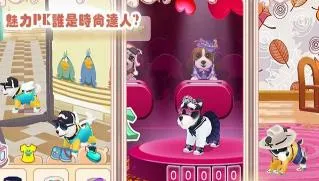 晴天小狗22025官方最新版本