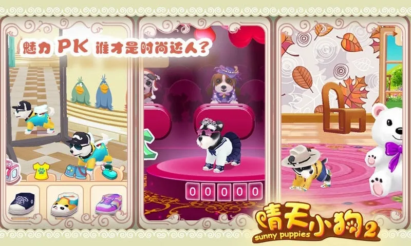 晴天小狗22025官方最新版本