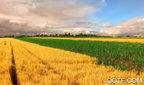 甘农云(农业知识学习)