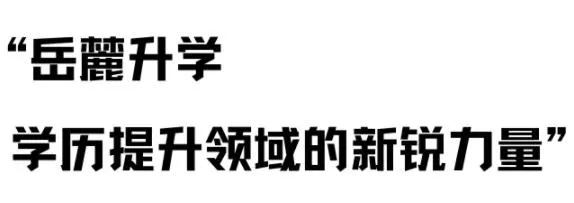 岳麓升学2025下载安装