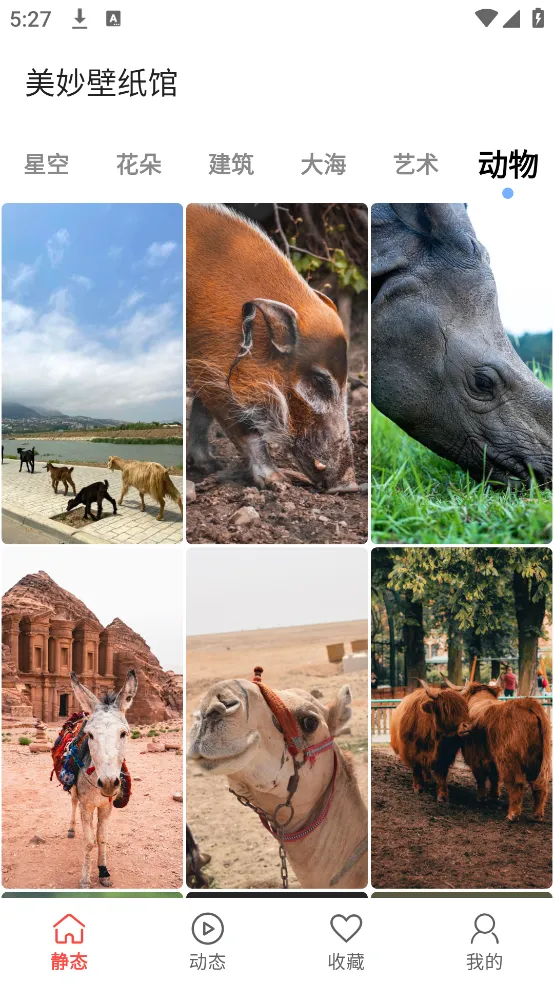 美妙壁纸馆2025官方正版截图