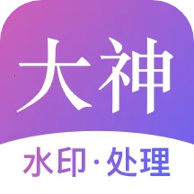 大神水印(视频图片处理)