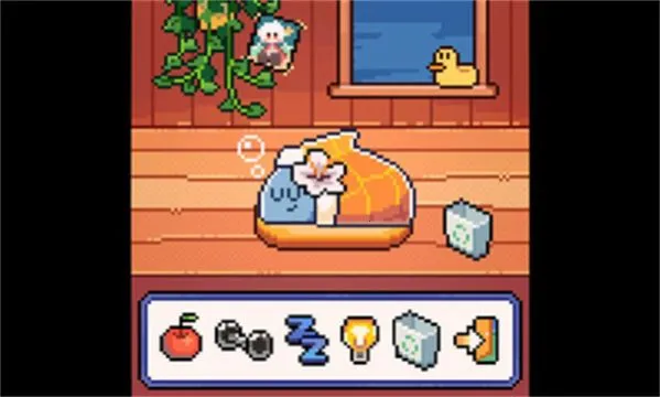 我的小鲨鱼2025最新版本截图