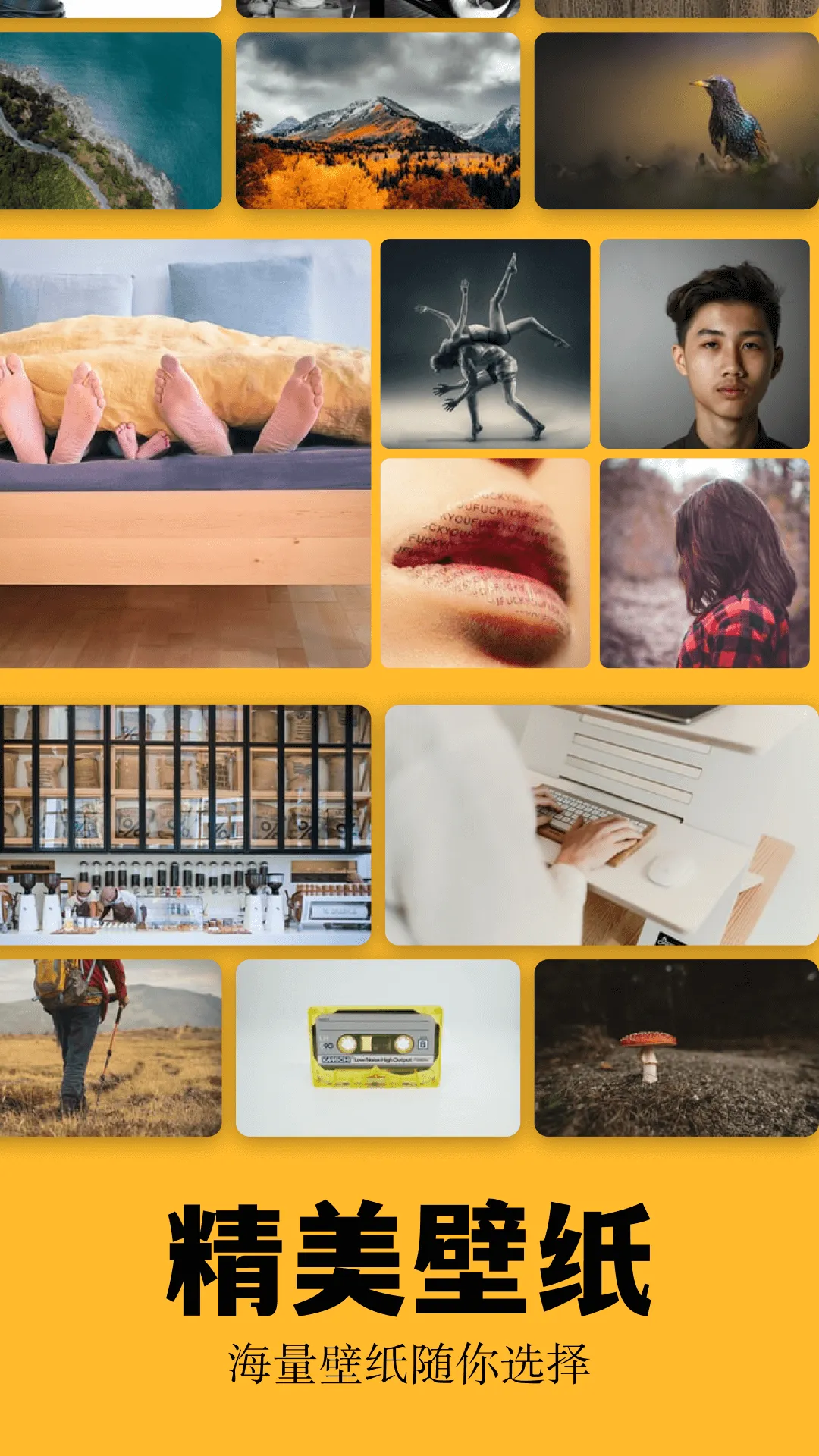 彩虹猫最新手机版截图