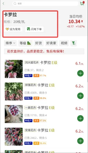 米贝(米贝(鲜花批发平台)) 米贝(米贝(鲜花批发平台))