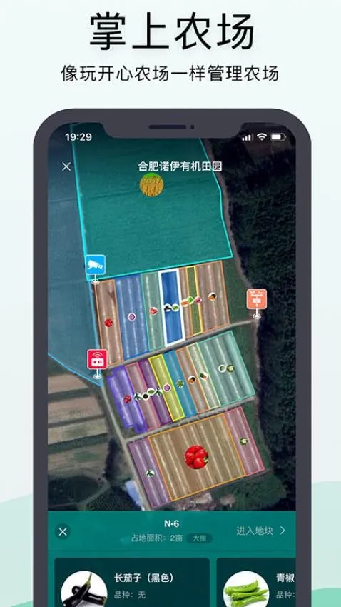 神农口袋2025官方最新版本 神农口袋2025官方最新版本