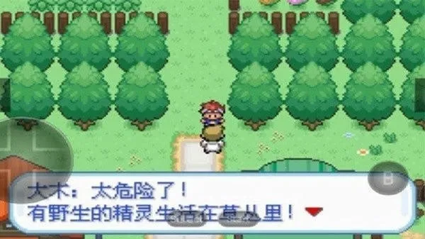 口袋妖怪暴龙版(数码宝贝游戏)截图