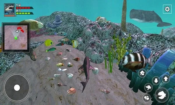 饥饿大白鲨(鲨鱼狩猎游戏)截图