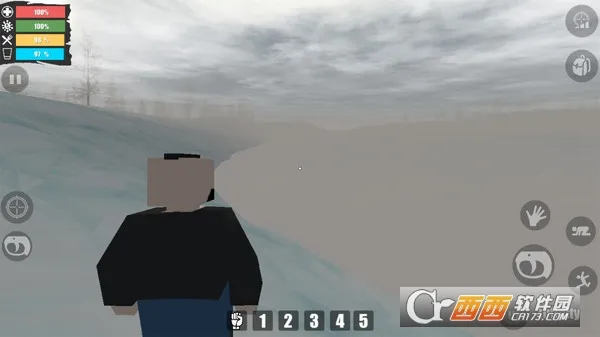 自由队幸存者2025官方正版截图