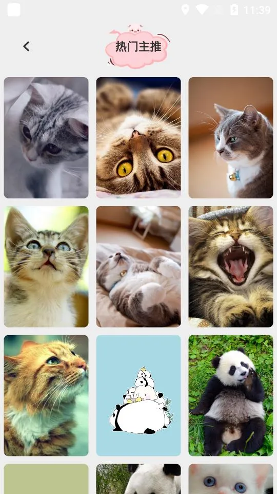 元气壁纸秀最新手机版截图