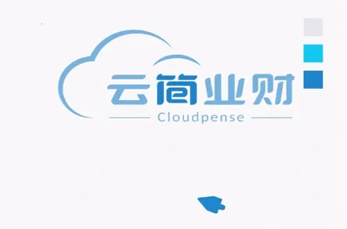 云简业财安卓版手机版 云简业财安卓版手机版