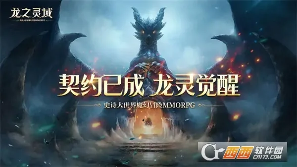 龙之灵域最新手机版截图