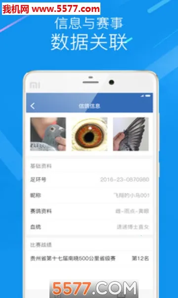 中国信鸽协会2025下载安装截图