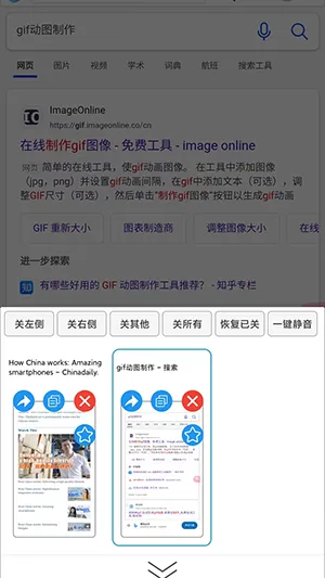 小海浏览器(多功能浏览)截图