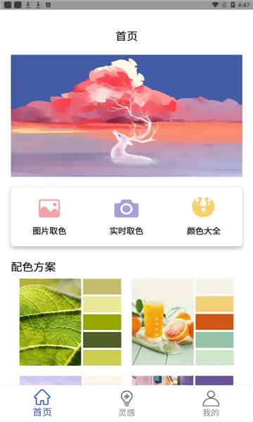 色卡配色2025下载截图
