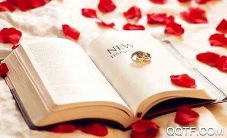 片语2025官方正版 片语2025官方正版