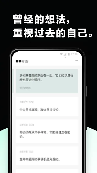 片语2025官方正版截图