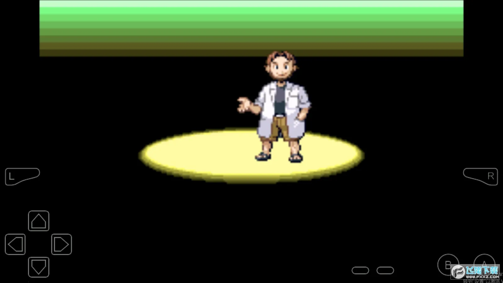 口袋妖怪绿宝石2025官方正版截图