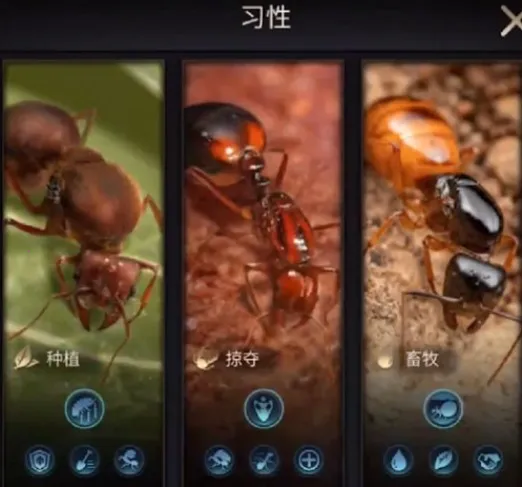 小小蚁国(蚂蚁策略游戏) 小小蚁国(蚂蚁策略游戏)