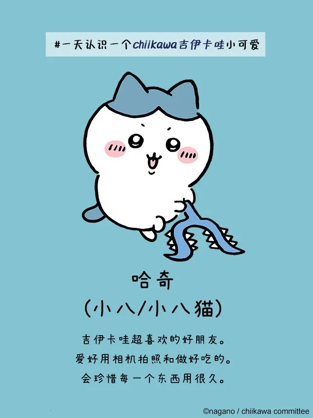 口袋吉伊卡哇国际服(养成战斗游) 口袋吉伊卡哇国际服(养成战斗游)