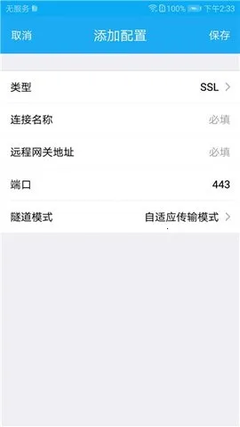 SecoClient(远程安全接入)截图