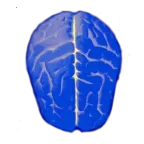 �߼�����2025����v11.01 ��Ѱ�