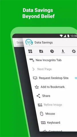 puffin浏览器2025官方最新版本截图