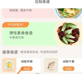 怪兽轻断食(断食减肥指导)