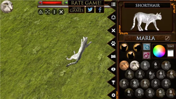 �ռ�è2025�ٷ�����