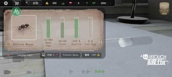 ����ģ����(����ģ����Ϸ)