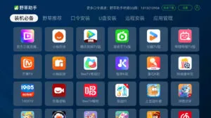 野草助手(电视应用管理)