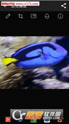 GIF工作室2025下载安装截图