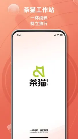 茶猫工作站2025下载安装截图