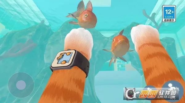 ����һֻè(è��ģ����Ϸ)