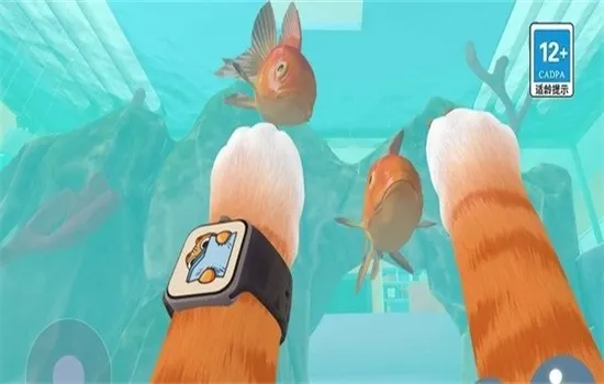 ����һֻè(è��ģ����Ϸ)