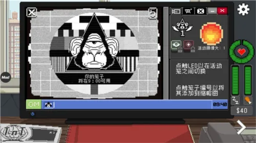 别喂猴子2025官方最新版本