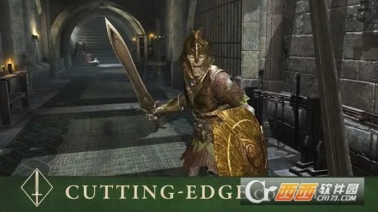 上古卷轴刀锋战士2025下载截图