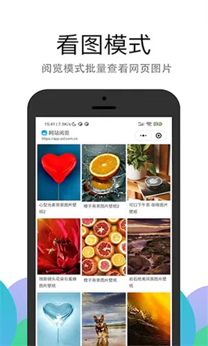 PP浏览器(手机浏览器)截图