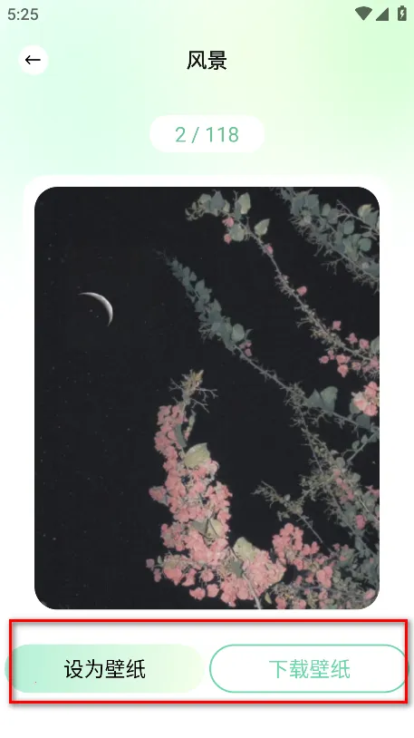 荷花壁纸2025最新版本 荷花壁纸2025最新版本