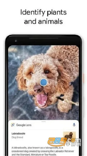谷歌智能镜头安卓版手机版截图