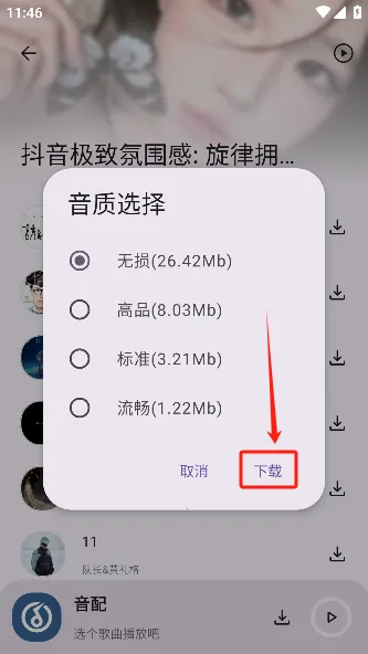 音配2025官方正版