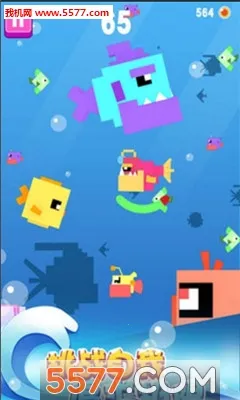 大鱼小鱼大作战2025官方正版截图