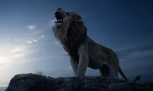 小园丁追剧2025下载